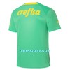 Nogometni Dres Palmeiras Treći 22/23