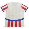 Nogometni Dres Paraguay Domaći 2024