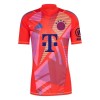 Nogometni Dres FC Bayern München Golmanski 24/25