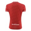Nogometni Dres Bristol City Domaći 24/25
