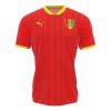 Nogometni Dres Guinea Domaći 2024