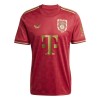 Nogometni Dres FC Bayern München Obljetnica 24/25