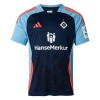 Nogometni Dres Hamburger SV 24/25 Specifična