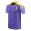 Atlético Madrid Dresovi za Trening 25/26 Ljubičasta