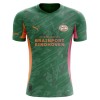 Nogometni Dres PSV Eindhoven Golmanski 25/26 Zelena