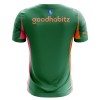 Nogometni Dres PSV Eindhoven Golmanski 25/26 Zelena