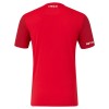 Nogometni Dres Twente Domaći 25/26