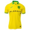 Dječji - Dres + Kratke Hlače Norwich City Domaći 25/26