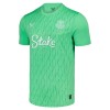 Nogometni Dres Everton Golmanski 25/26 Zelena