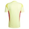 Nogometni Dres Aston Villa Golmanski 25/26 Žuta