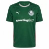 Nogometni Dres Palmeiras Domaći 26/27