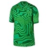 Nogometni Dres Brazil Domaći Golmanski SP 2026 Zelena