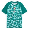 Nogometni Dres Portugal Pre-Match SP 2026 Zelena