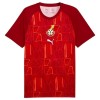 Nogometni Dres Gana Pre-Match SP 2026