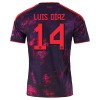 Nogometni Dres FC Bayern München Luis Diaz 14 Treći 26/27
